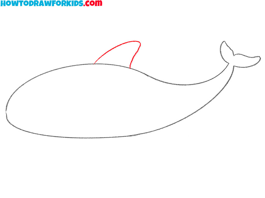 killer whale drawing easy