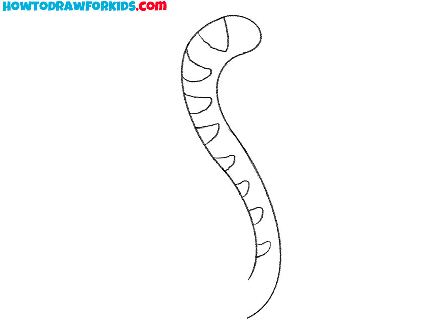how to draw a cat tail for beginners