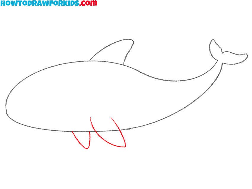 killer whale drawing tutorial