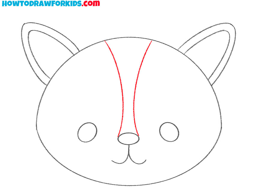 raccoon face outline