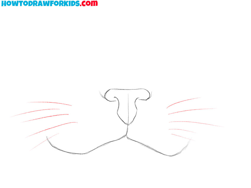 cat nose and mouth drawing guide