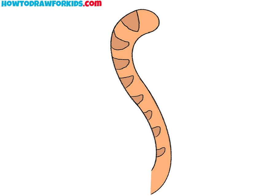 How to Draw a Cat Tail Easy Drawing Tutorial For Kids