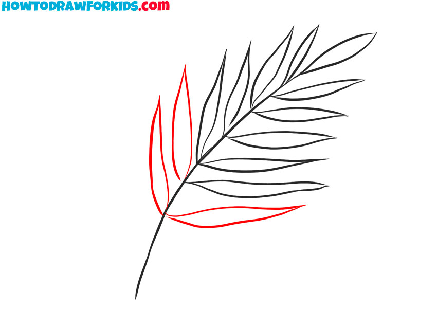 fern drawing easy