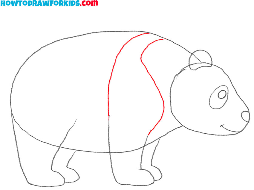 how to draw a baby panda realistic