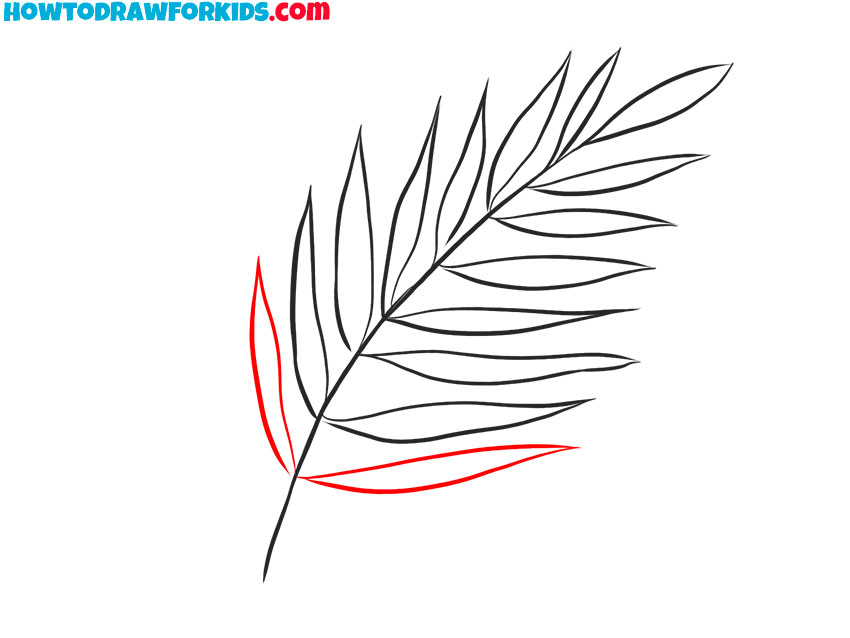 fern drawing simple