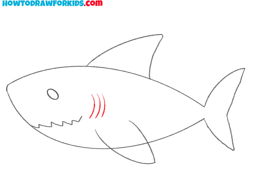 great white shark drawing simple