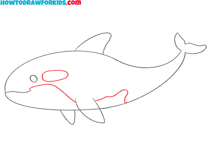 killer whale drawing simple