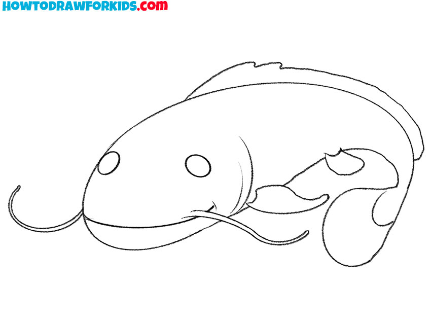 catfish drawing guide