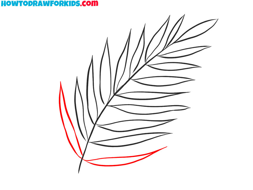 fern drawing tutorial