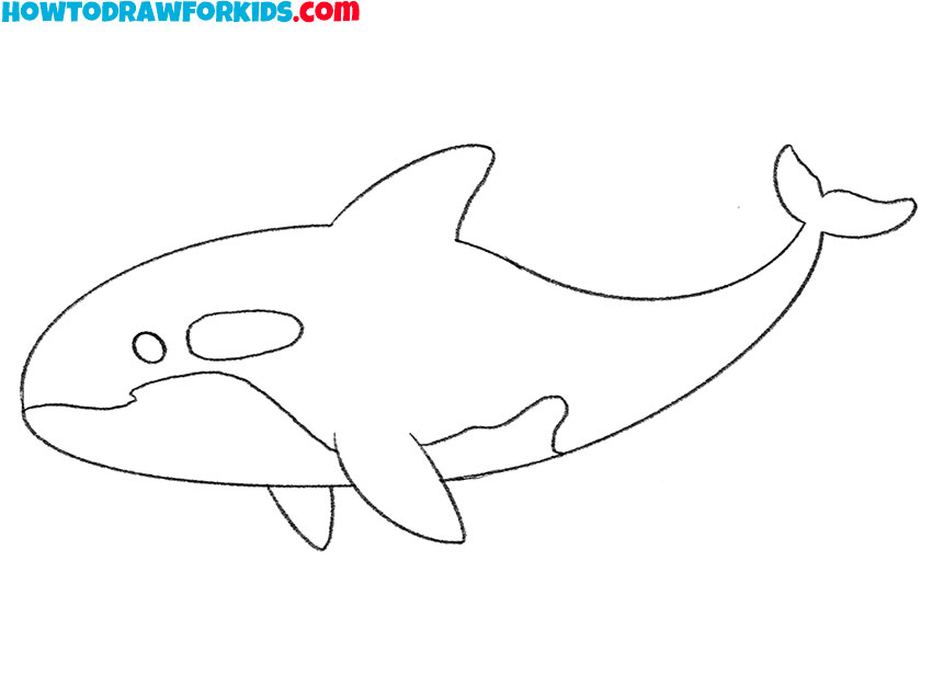 how to draw a killer whale for kids