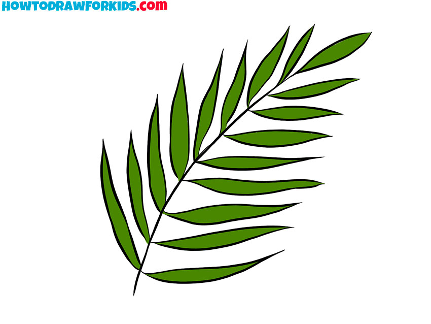 easy simple fern drawing