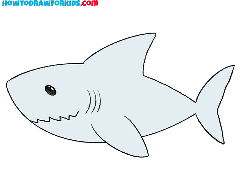 How To Draw Great White Sharks Step By Step