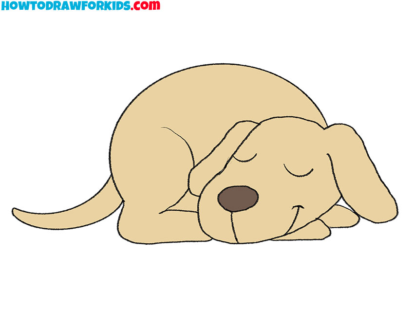 how to draw a cartoon sleeping dog