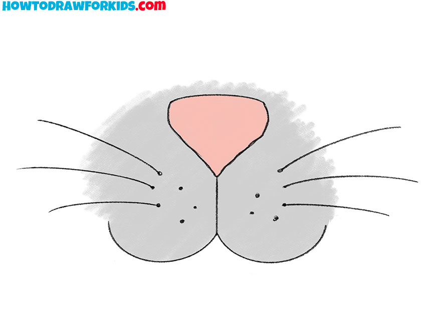 how to draw a cat nose and whiskers and color