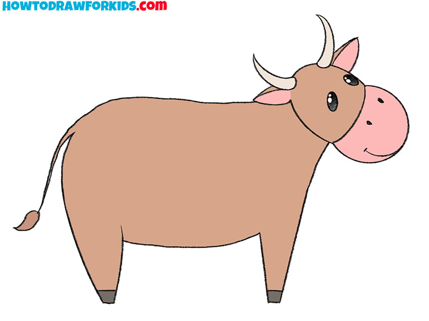 how to draw a cattle and color