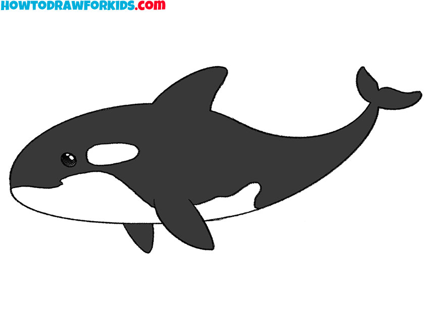 how to draw a killer whale for beginners