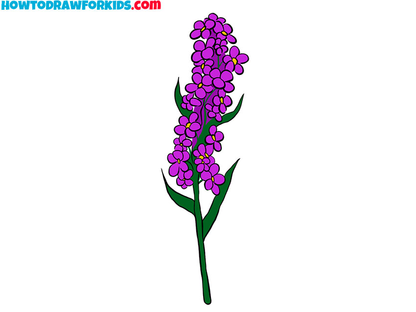 lavender cartoon drawing