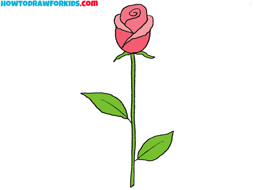 flower stem drawing