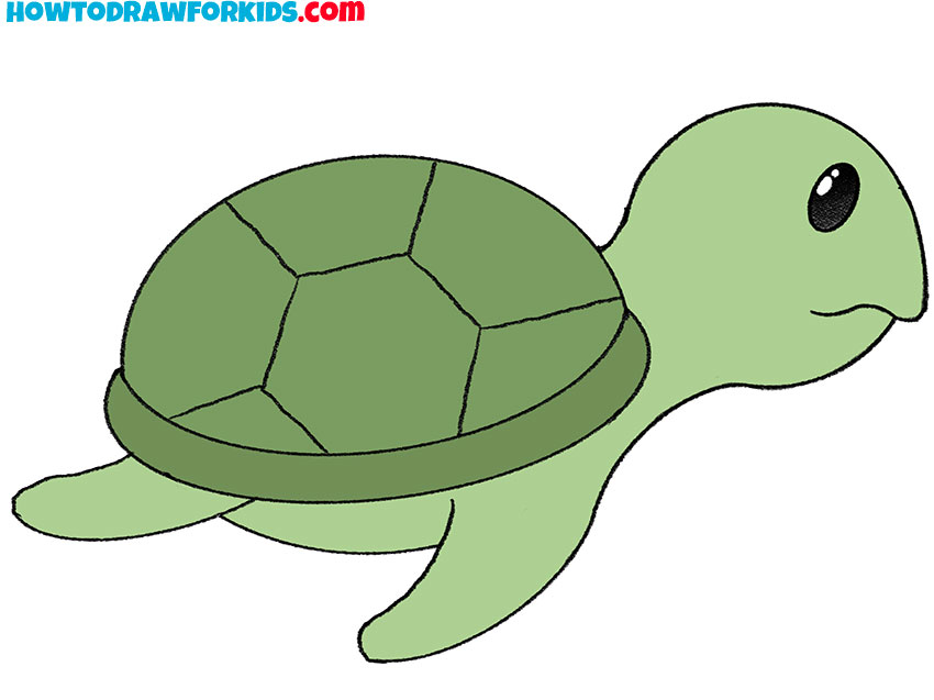 turtle drawing easy cartoon - Into A Large Microblog Diaporama