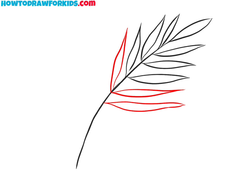 Draw the middle part of the fern