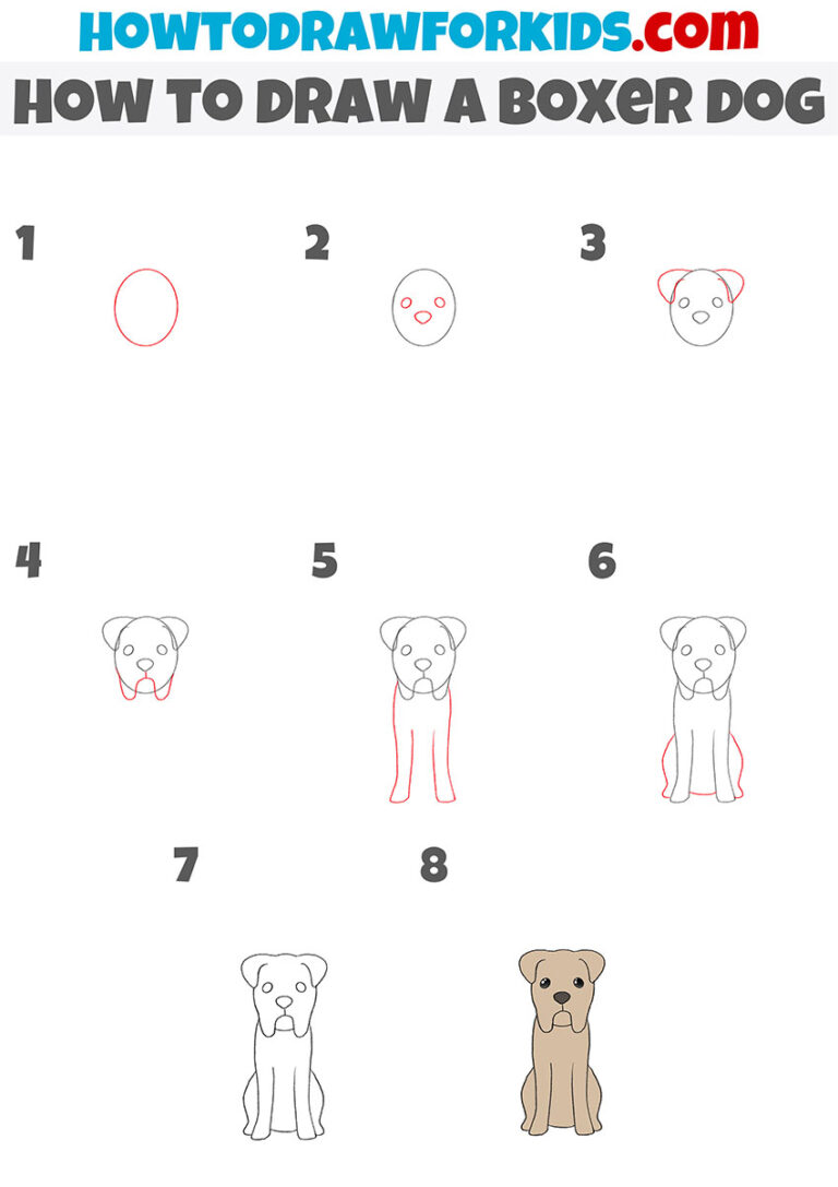 How to Draw a Boxer Dog Easy Drawing Tutorial For Kids
