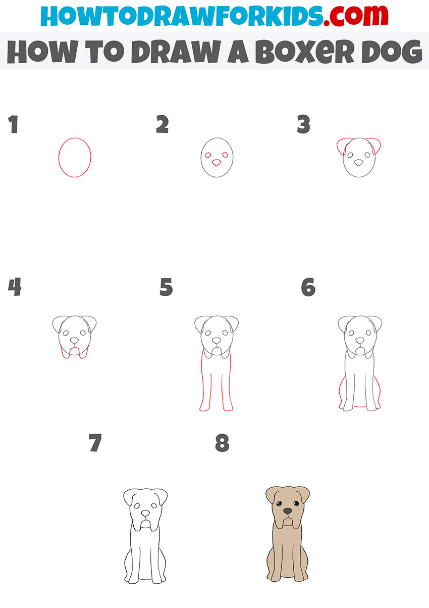 how to draw a boxer dog step by step