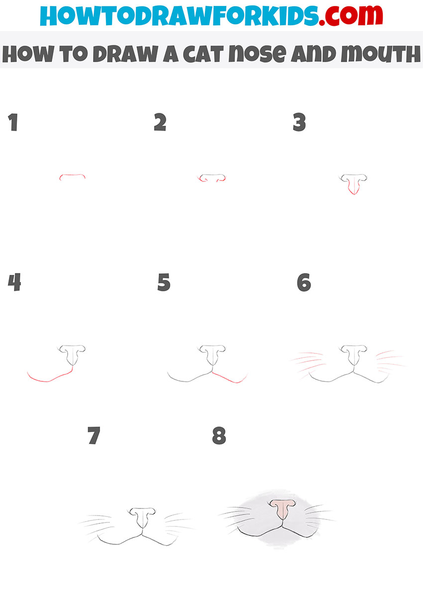 how to draw a cat nose and mouth step by step
