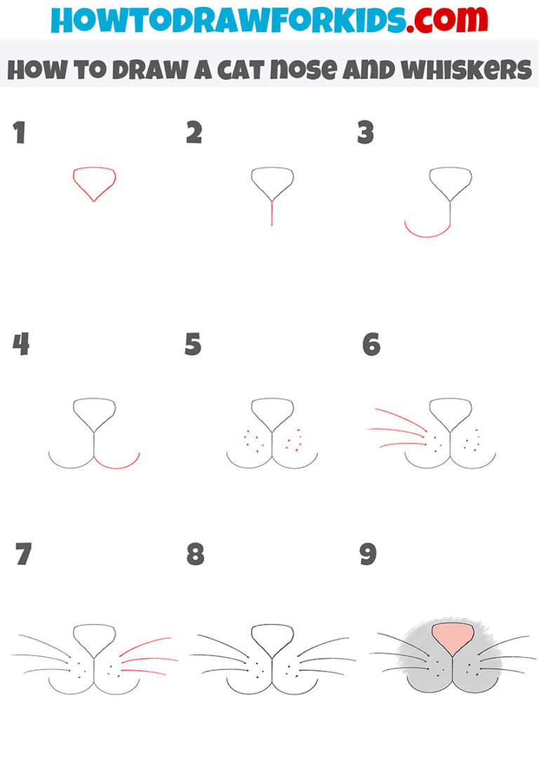 How to Draw a Cat Nose and Whiskers Easy Drawing Tutorial For Kids