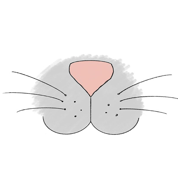 How to Draw a Cat Nose and Whiskers