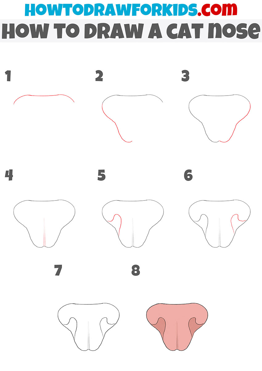 how to draw a cat nose step by step