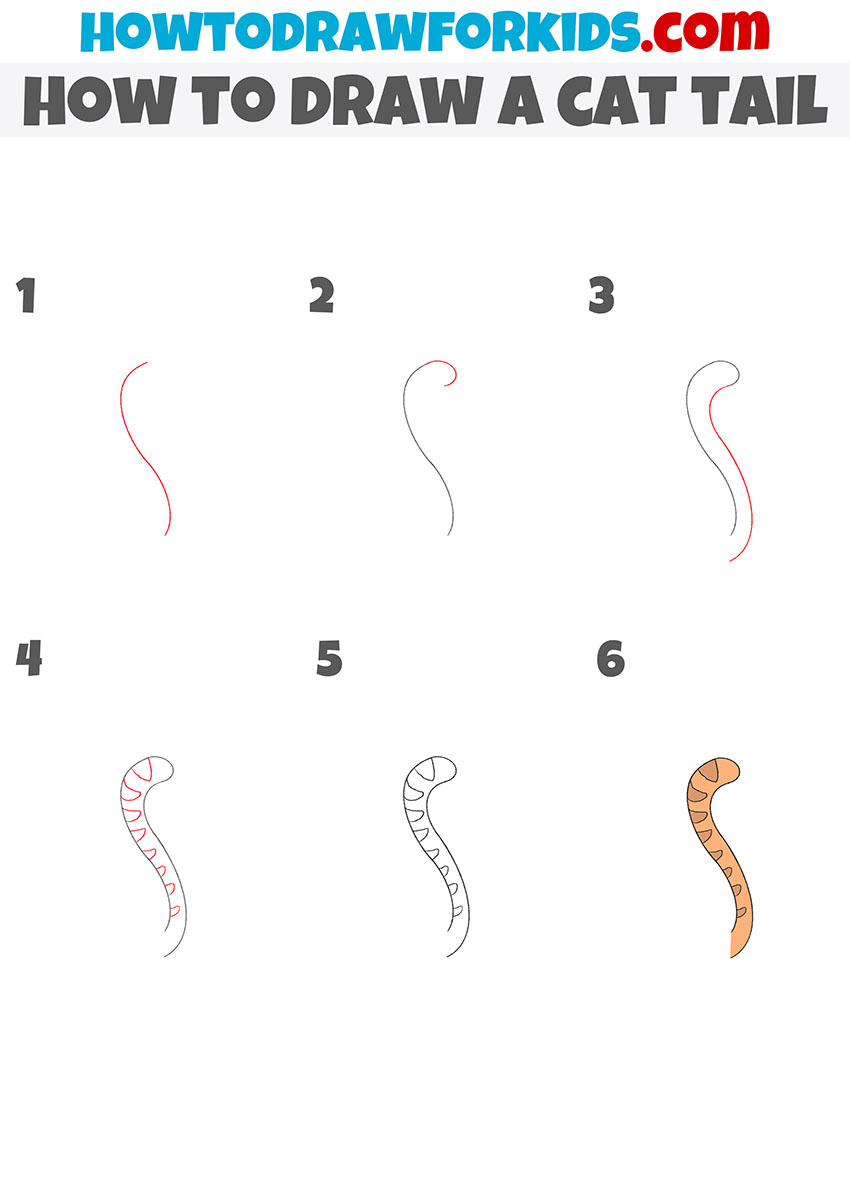 how to draw a cat tail step by step