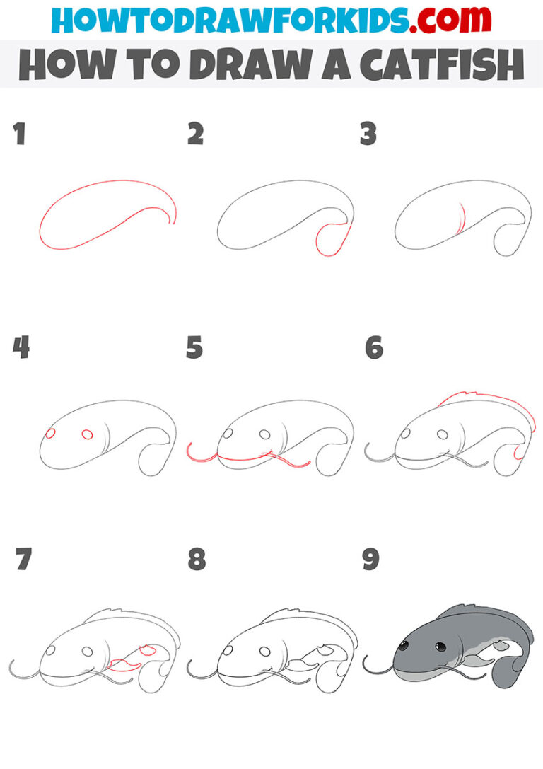 How to Draw a Catfish Easy Drawing Tutorial For Kids