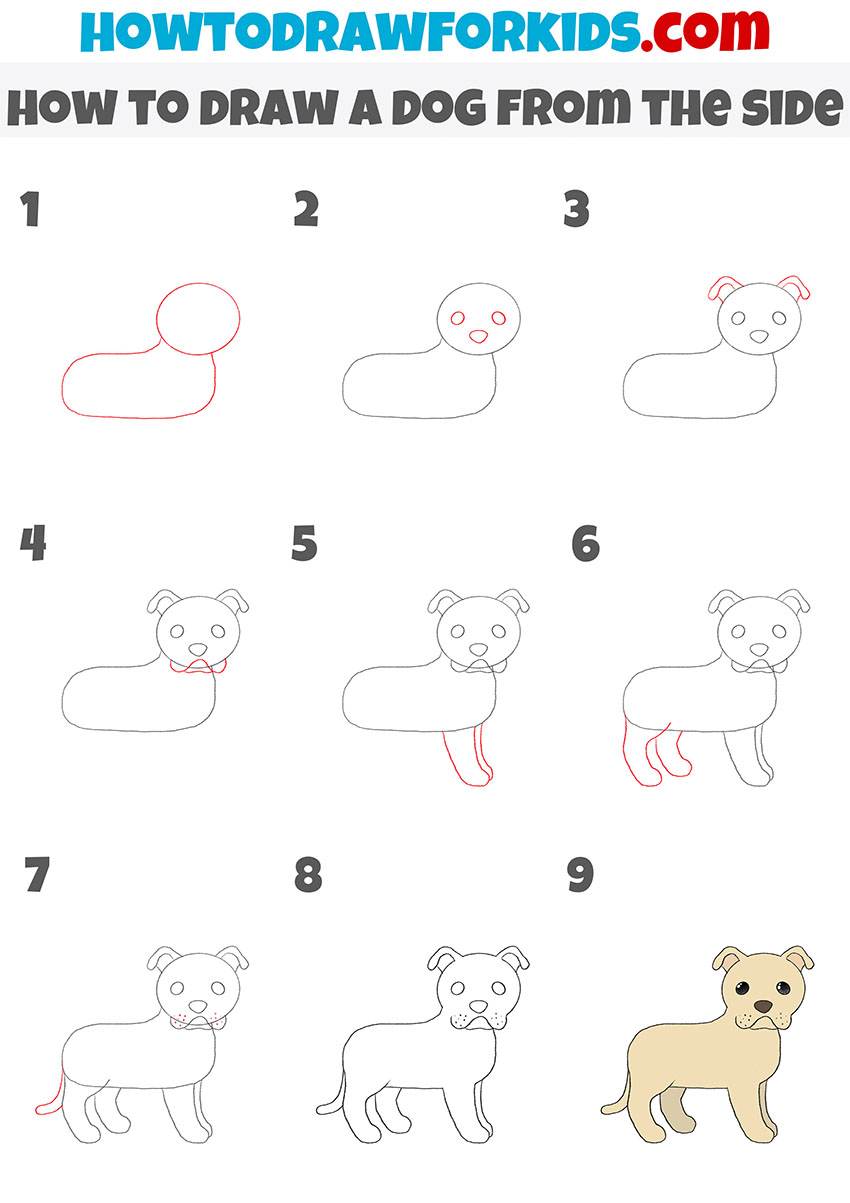 how to draw a dog from the side step by step