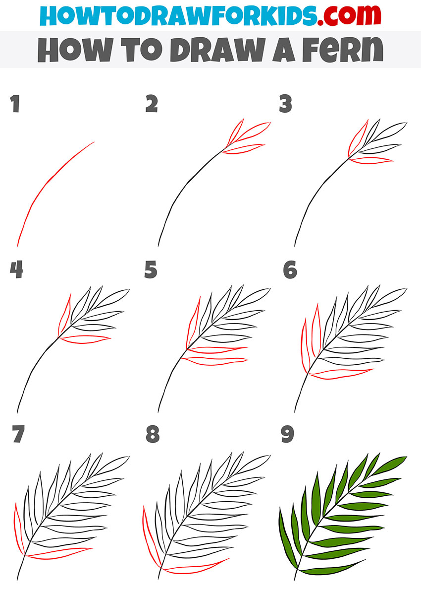 How to Draw a Fern Easy Drawing Tutorial For Kids