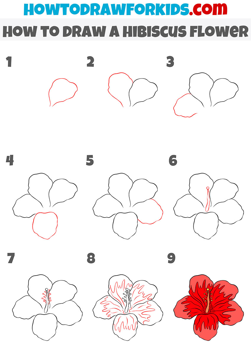how to draw a hibiscus flower step by step
