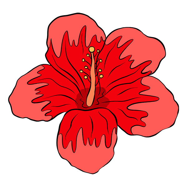How to Draw a Hibiscus Flower Easy Drawing Tutorial For Kids