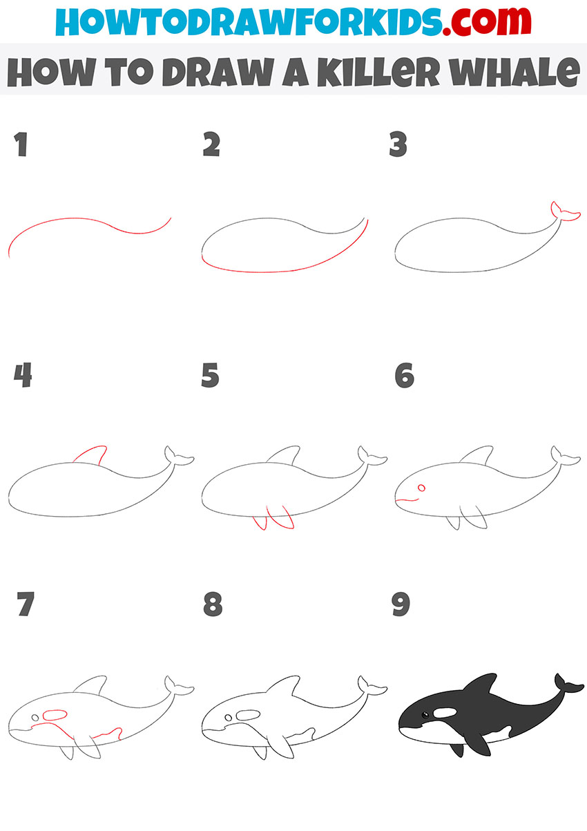 How to Draw a Killer Whale Easy Drawing Tutorial For Kids