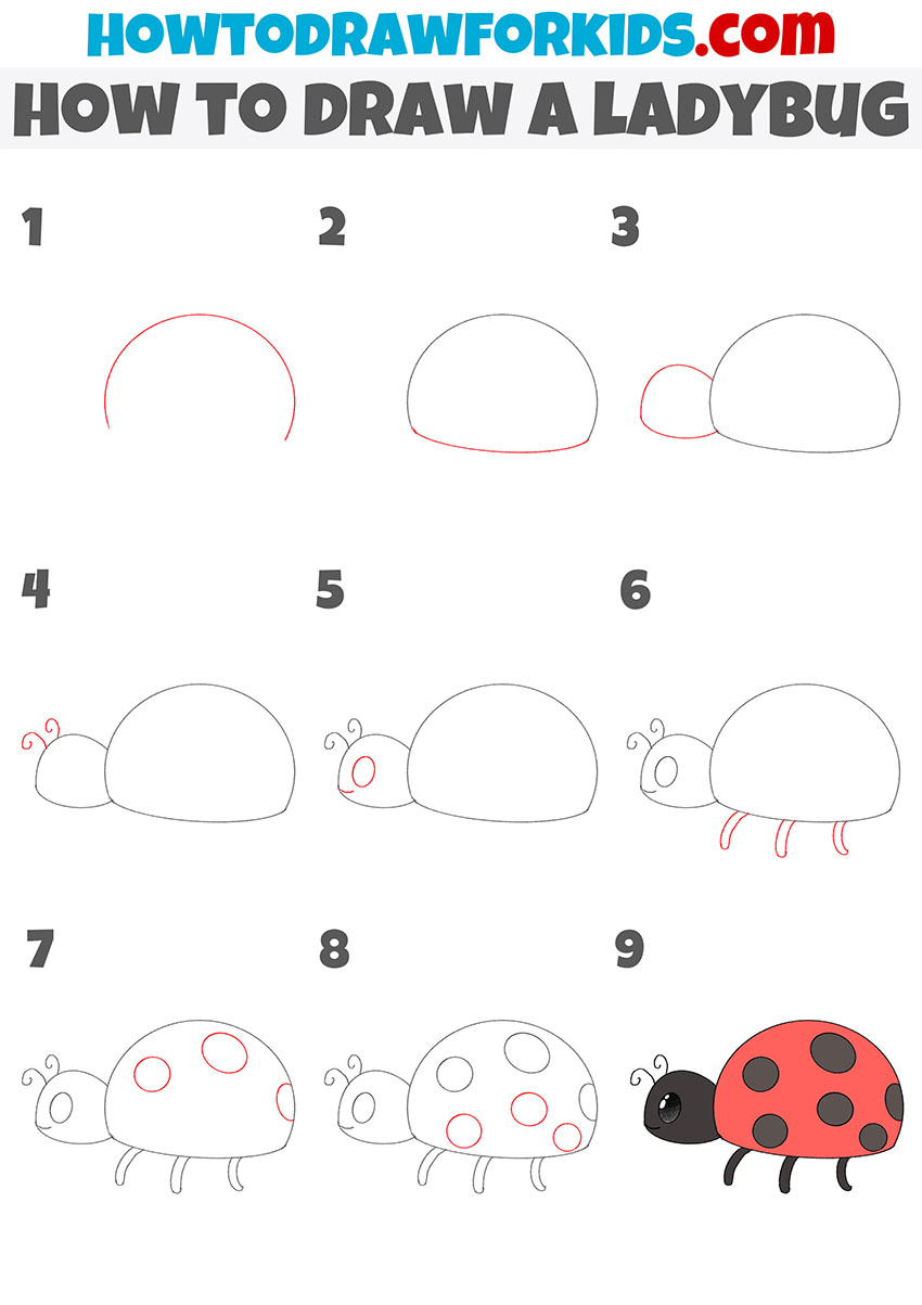 How To Draw A Ladybug 