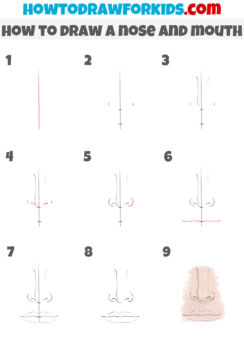 step by step drawing noses