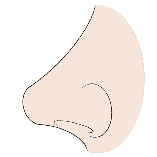 How to Draw a Nose From the Side