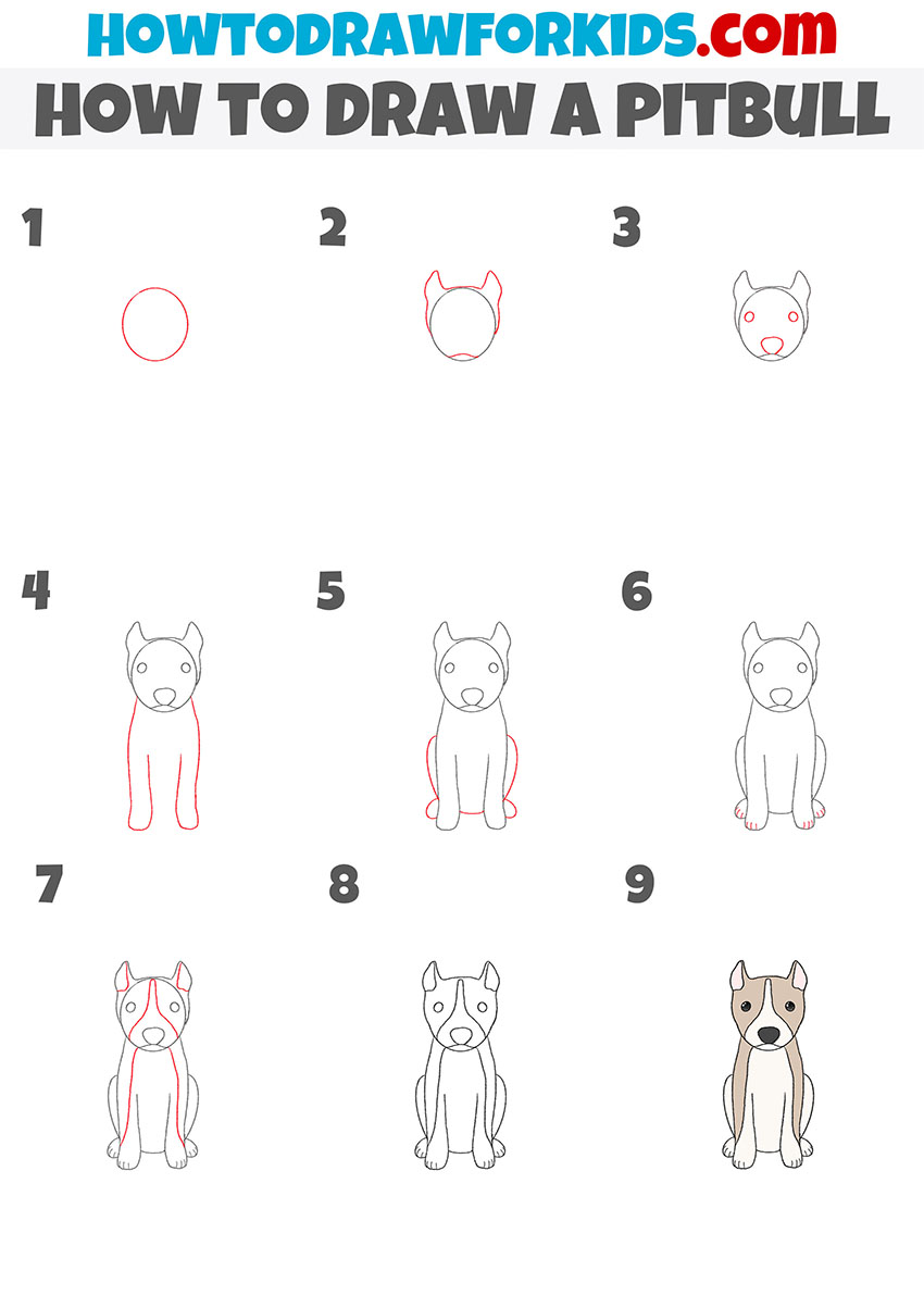 how to draw a pitbull step by step