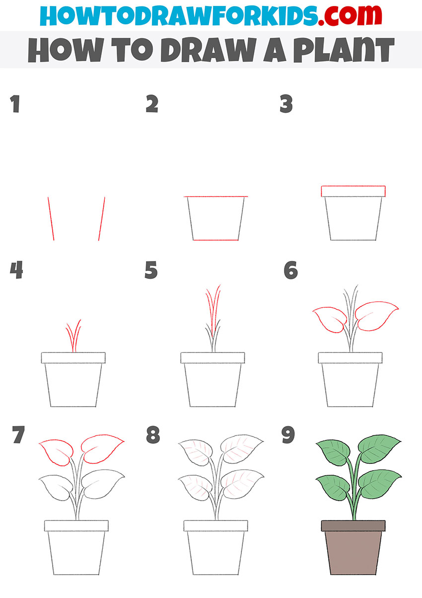 how to draw a plant step by step