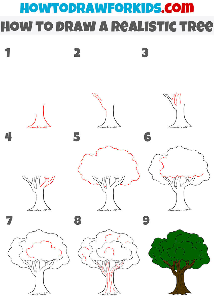 how to draw a realistic tree step by step