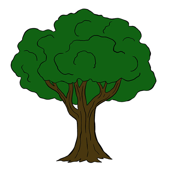 Family Tree Outline drawing free image download