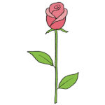 How to Draw a Rose on a Stem