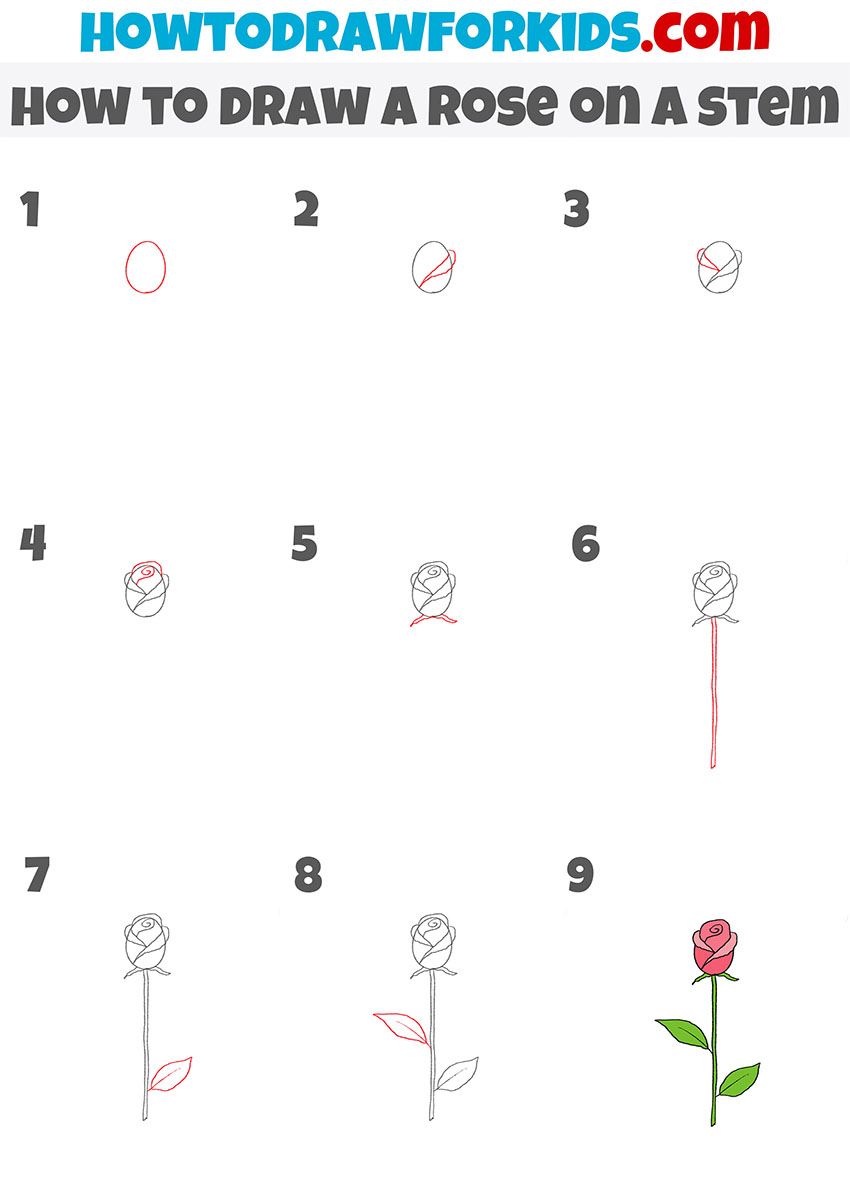how to draw a rose on a stem step by step
