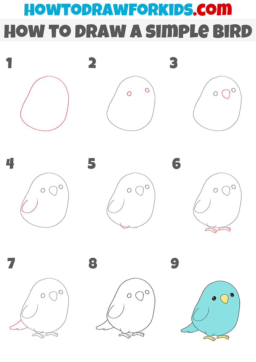 how to draw a easy bird step by step