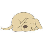 How to Draw a Sleeping Dog
