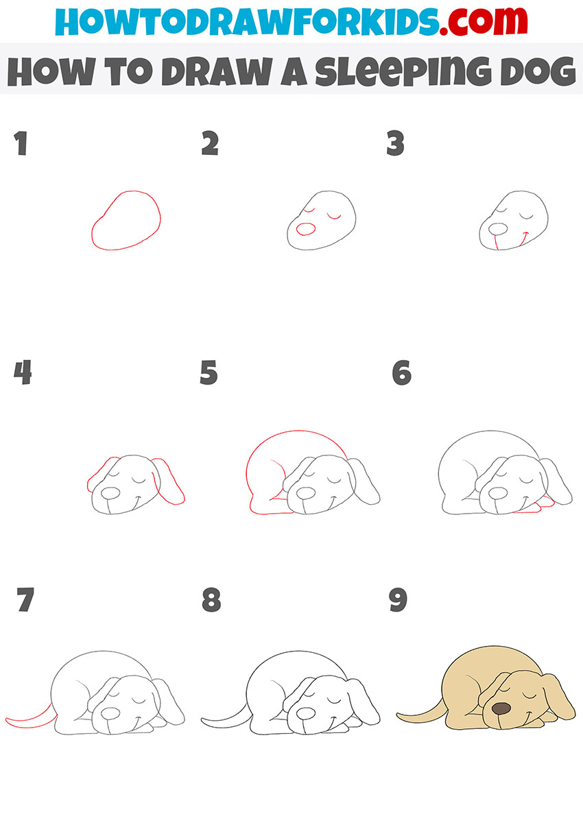 how to draw a sleeping dog step by step