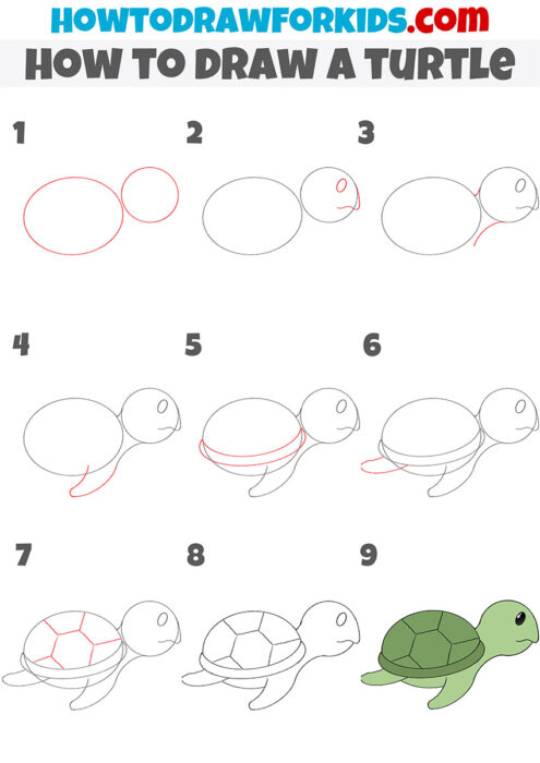 How to Draw a Turtle - Easy Drawing Tutorial For Kids